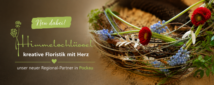 Header Slide